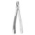 Forceps - upper icisives and canines